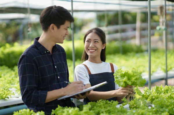 Can Vertical Hydroponic Farms Meet Urban Demand for Fresh Produce?